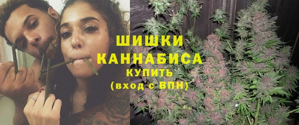 дмт Нея