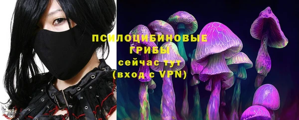 дмт Нея