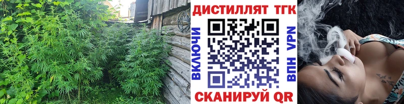 Купить закладки  Ряжск  ТГК гашишное масло 